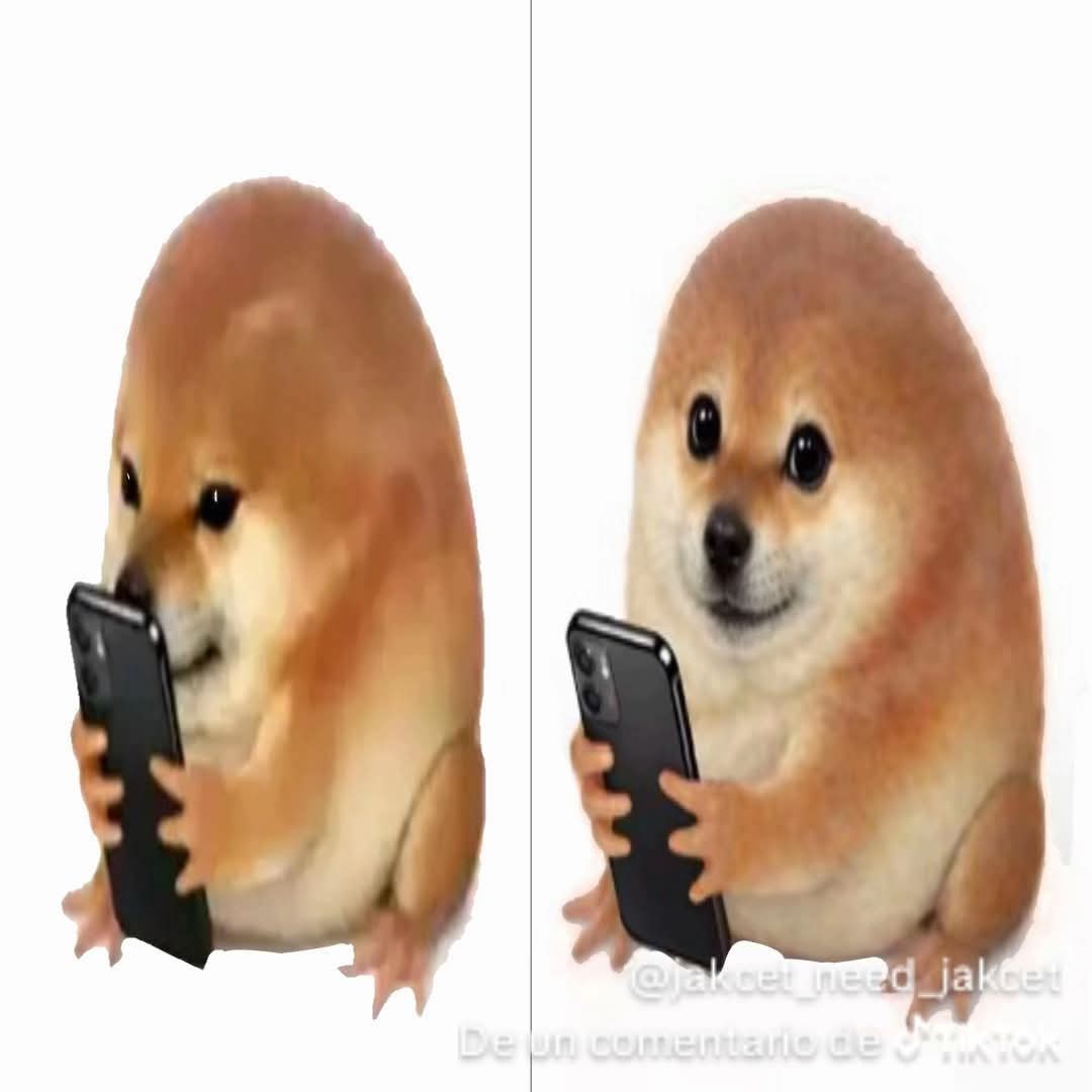 Lizard Wizard 🦎 tweet media