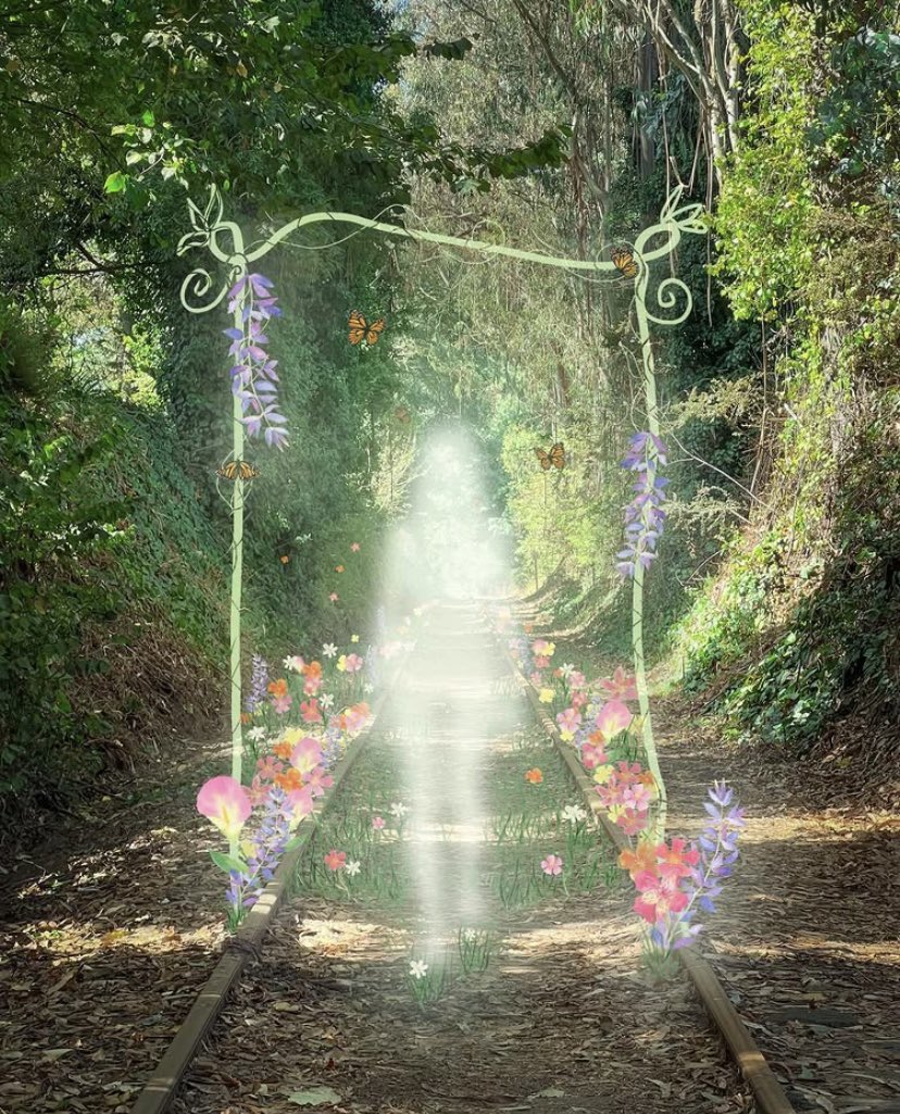 ذكرى العساف☀️ tweet media