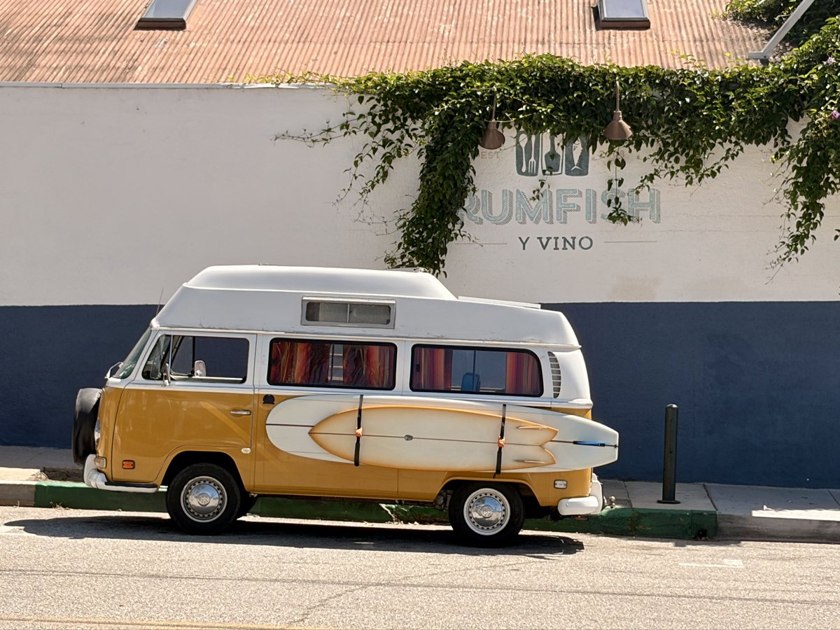 Spookily Entangled tweet media