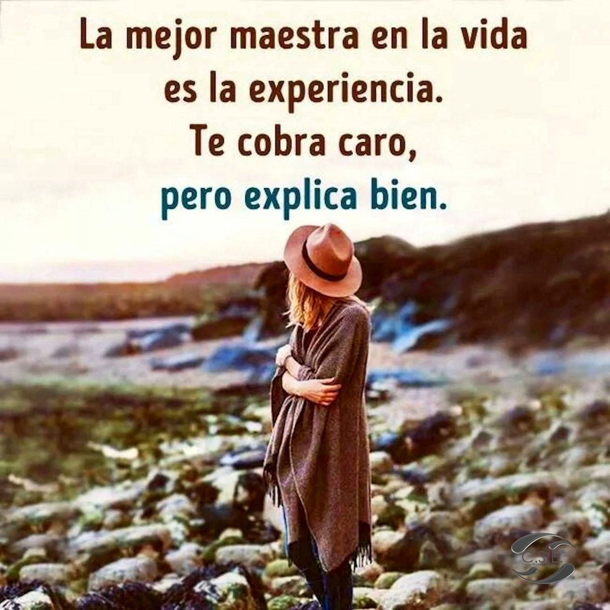 MariaGrci's tweet photo. https://t.co/Qt1JQV9ZJz