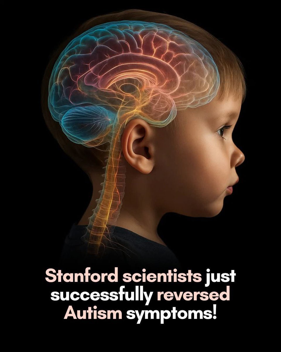 SciTech Girl tweet media