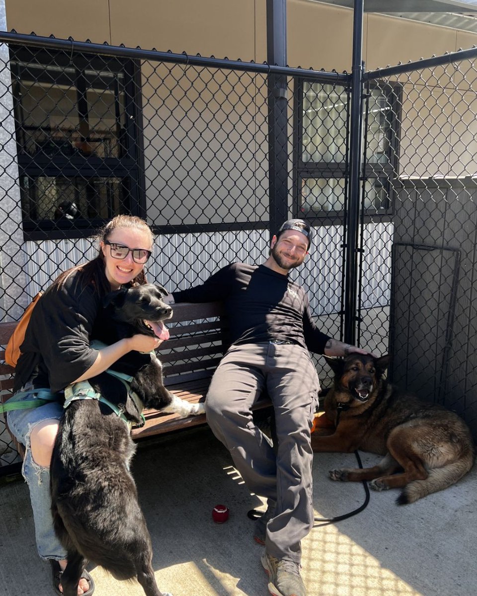 Greenhill Humane tweet media