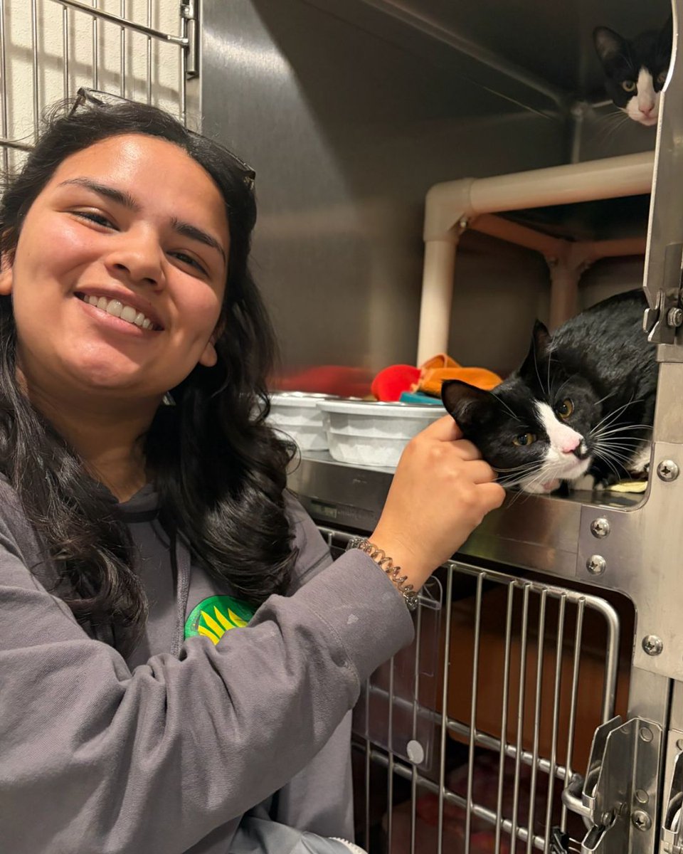 Greenhill Humane tweet media