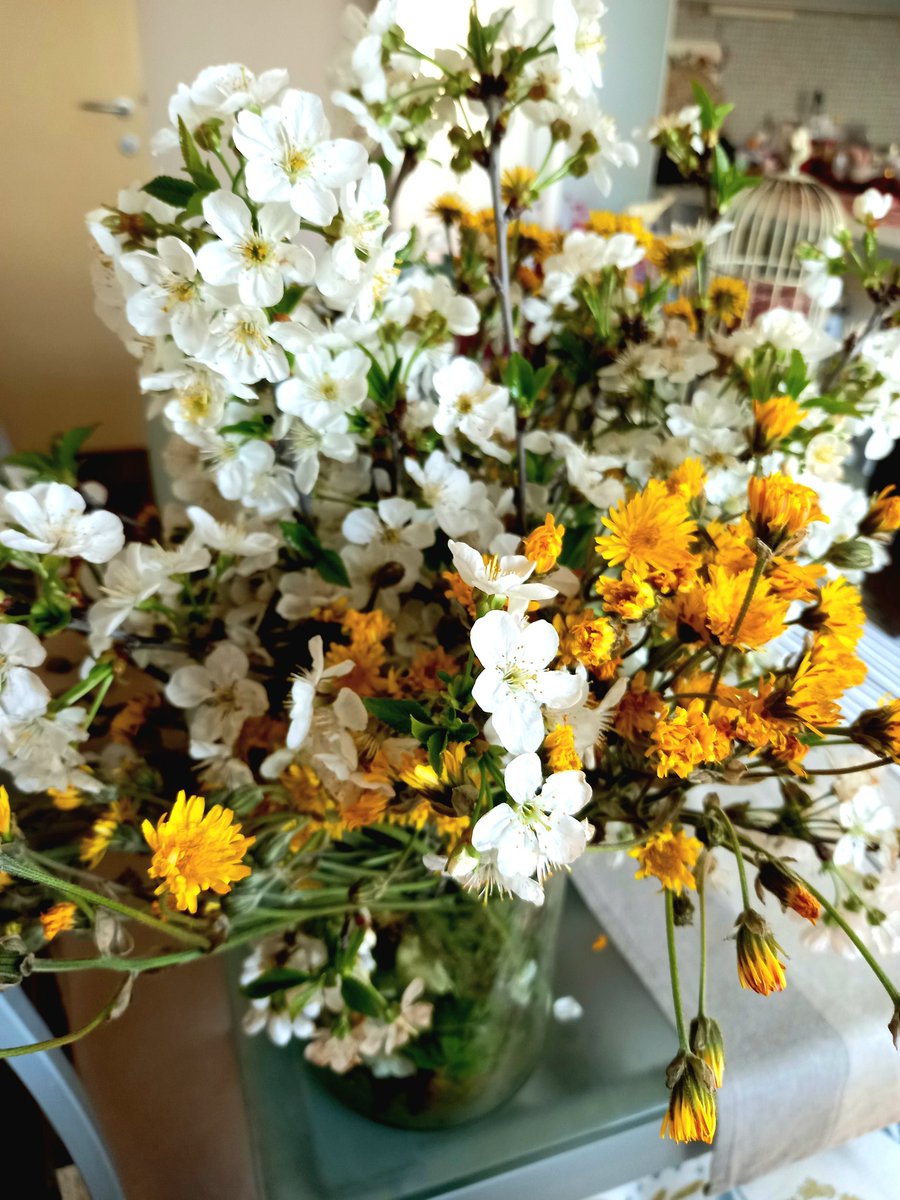 LESSDRAMAGUYS. Passavo di qua .. tweet media