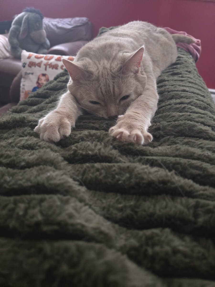 Leaping Larry tweet media