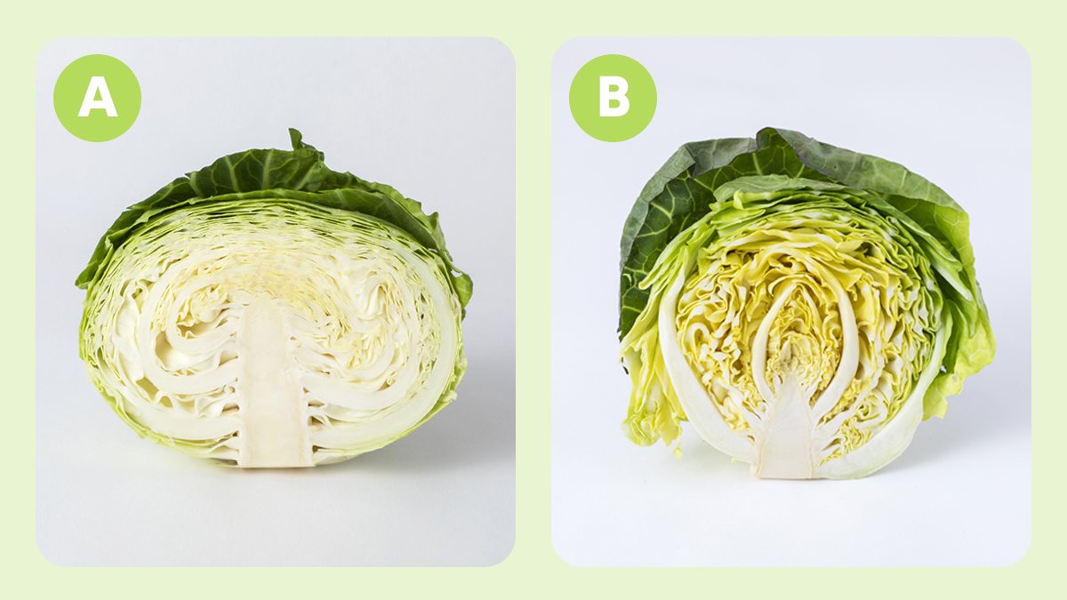 キユーピー公式 tweet media