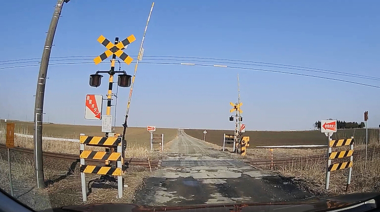 さびお tweet media