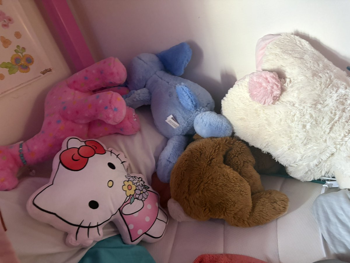 ๐๐พแฅฃ๐พ๐๐๐พห.๐ฆด แตแต tweet media