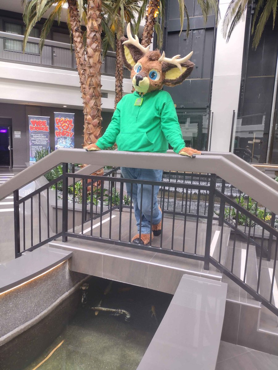 Holly Heathers 🔜 LVFC tweet media