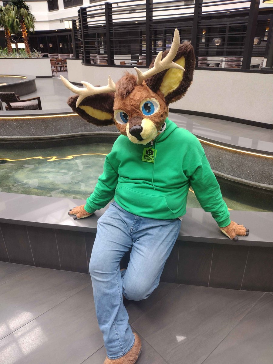 Holly Heathers 🔜 LVFC tweet media