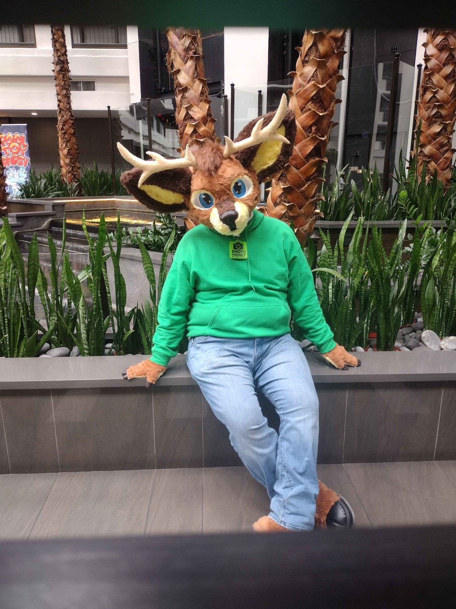 Holly Heathers 🔜 LVFC tweet media