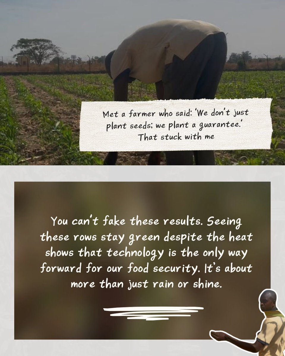 #LetsTalkGMO tweet media