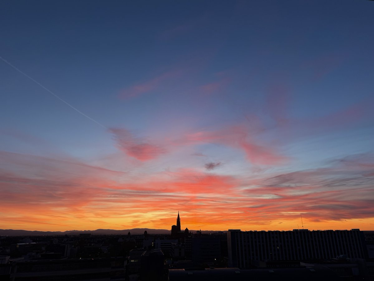 waltercolor tweet media