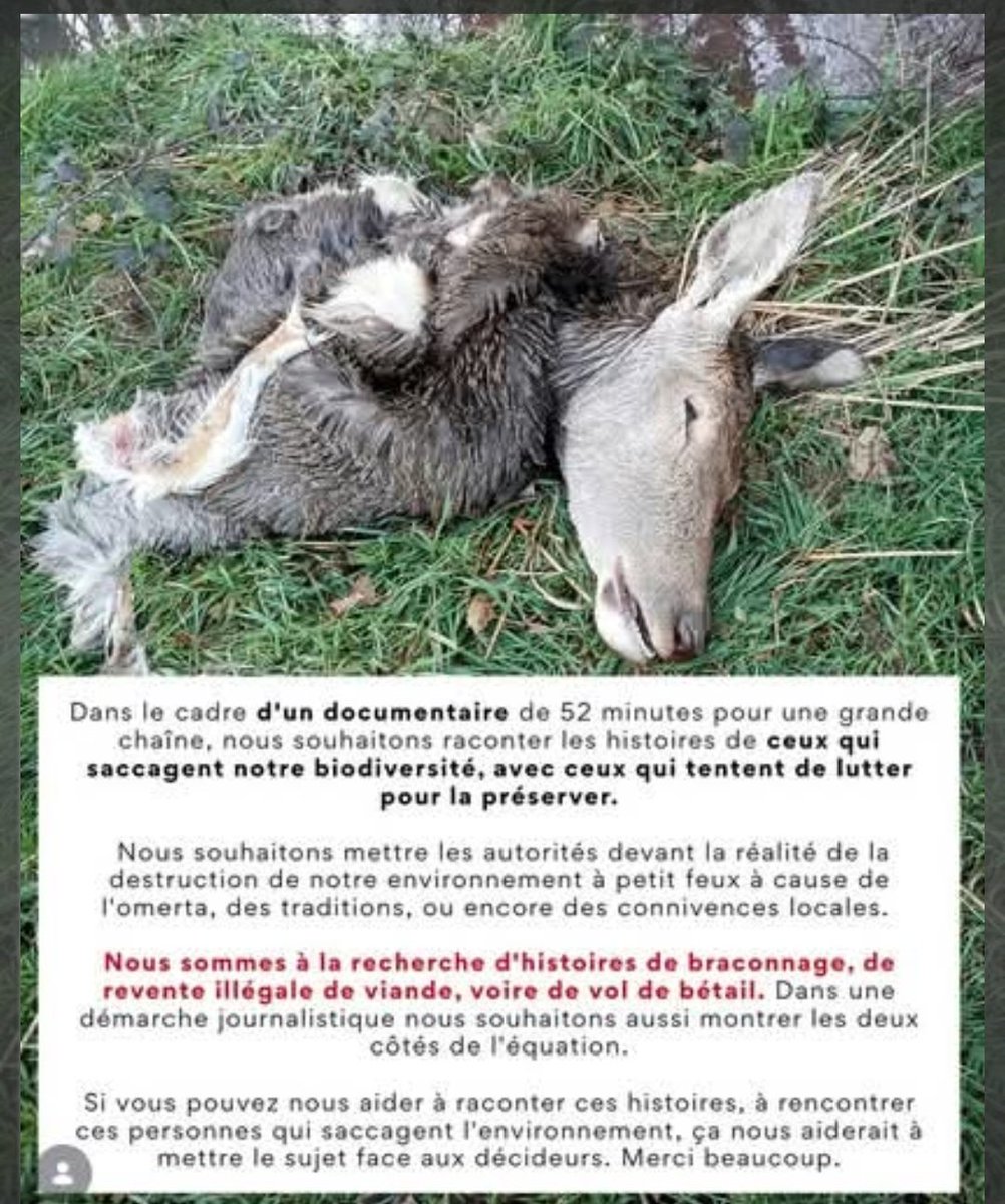 becker bea tweet media