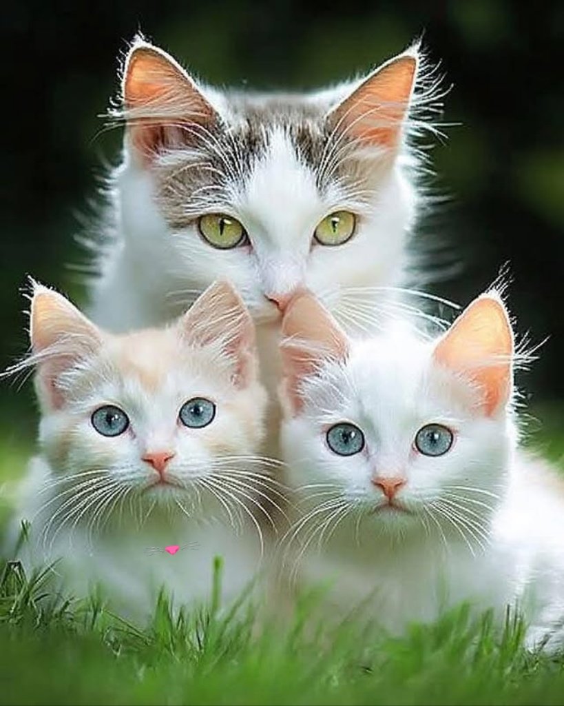 𝗦𝗮𝗺 𝗫 tweet media