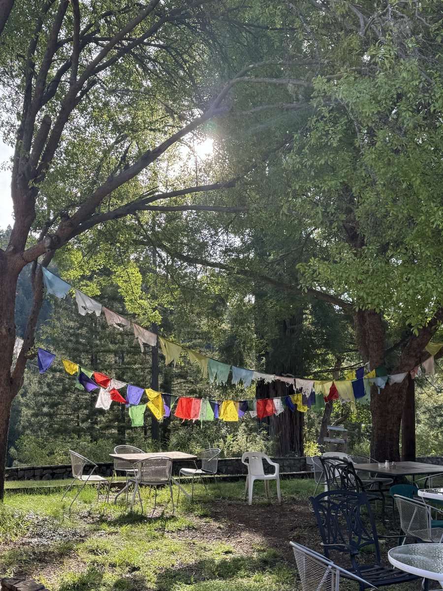 NICOLE SUMMER HSING tweet media