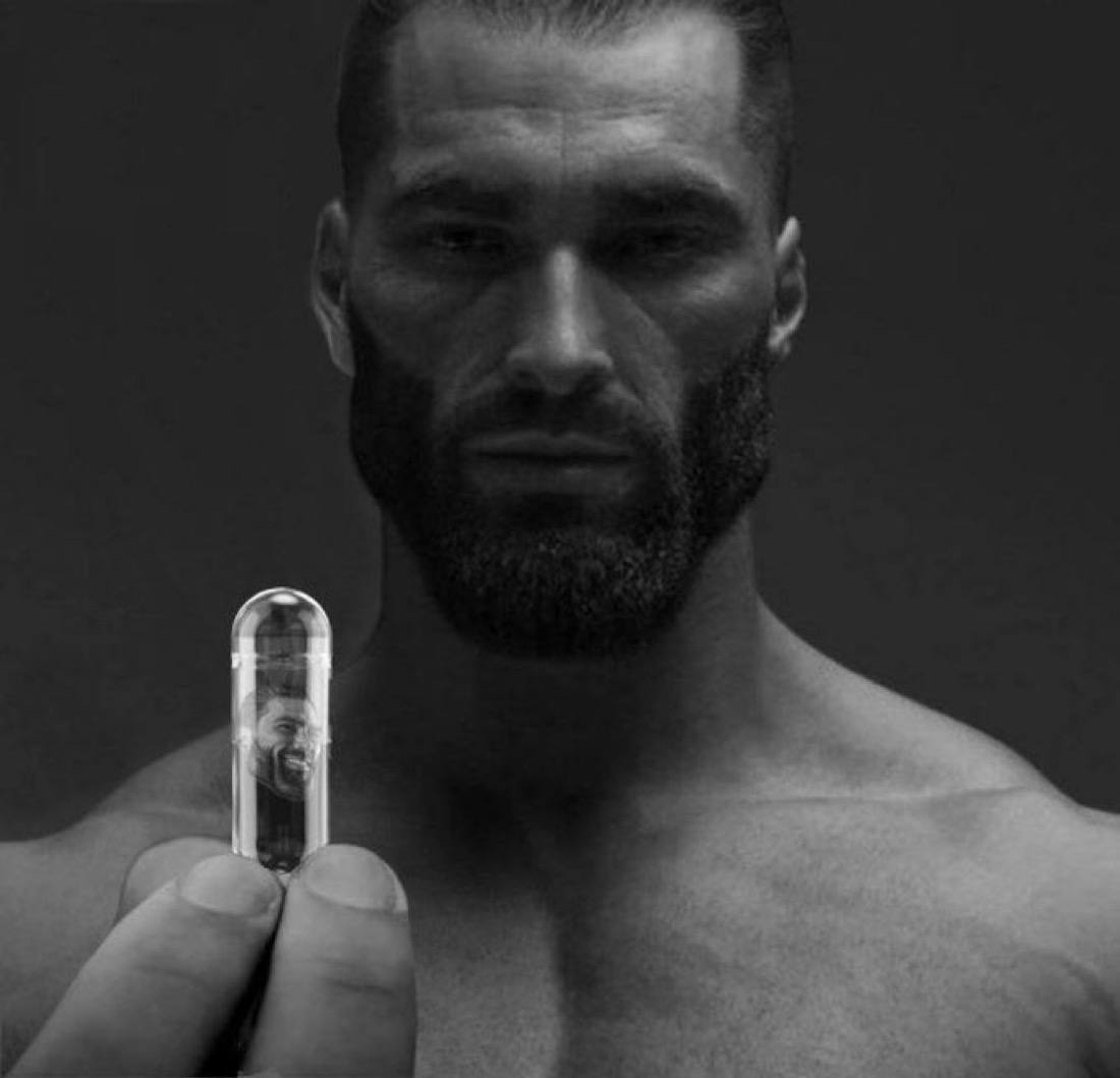 gigachad's tweet photo. If you had one chance to seize everything you ever wanted, would you capture it? Or just let it slip? https://t.co/oFb3AjFCT4