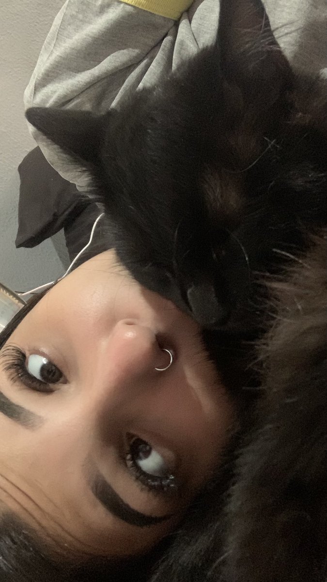 Vênus Malvadeza tweet media