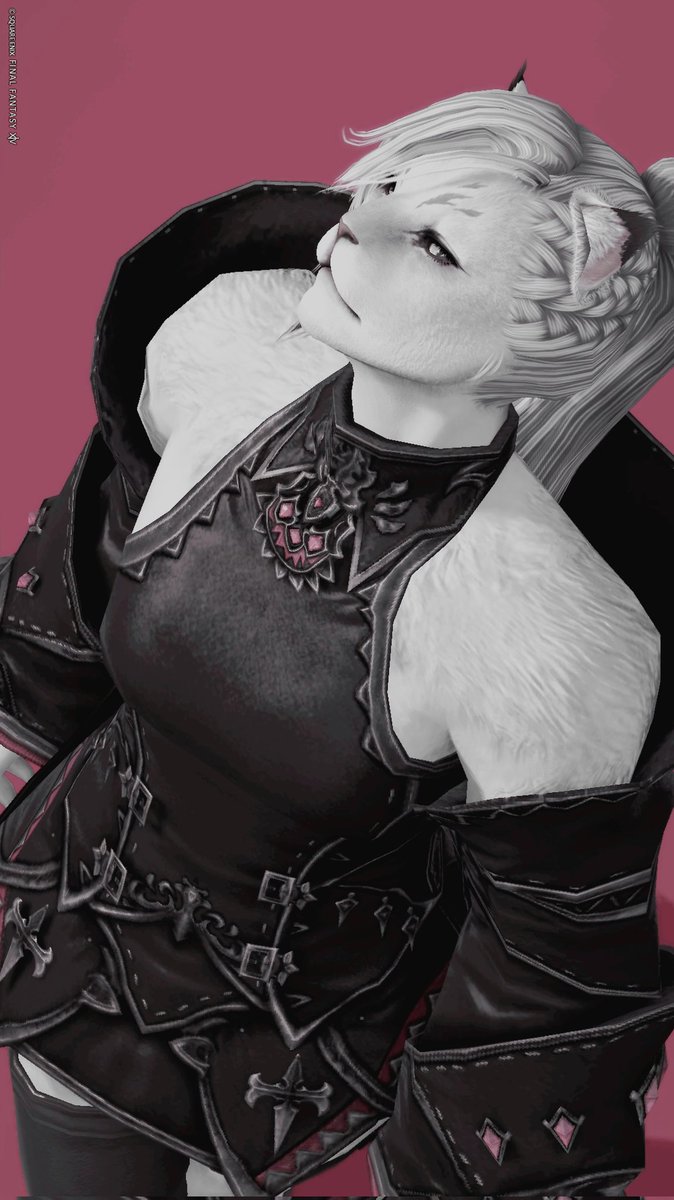 𝒇𝒓𝒐𝒛𝒆 tweet media