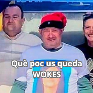 Wokes Catalans tweet media