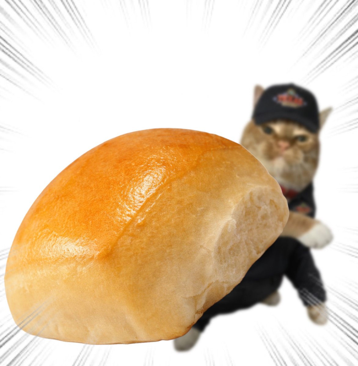 Throwing Things Daily tweet media