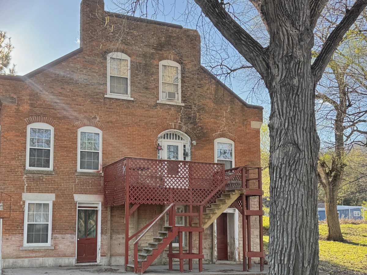 Chicken Joe 🐔 tweet media