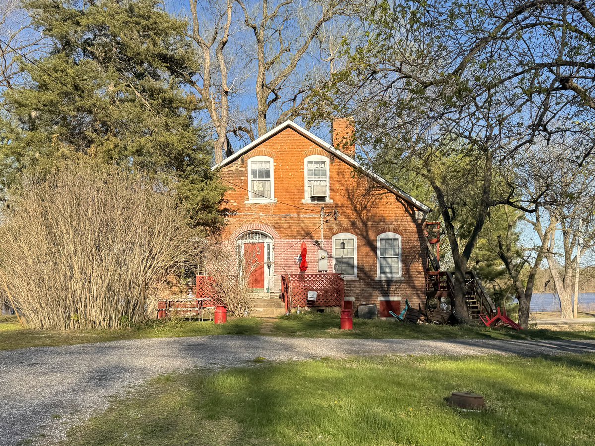 Chicken Joe 🐔 tweet media