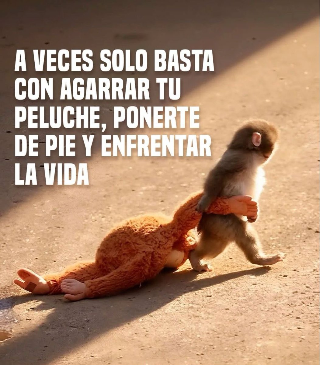 Tu tazo dorado 🍻🤪🇲🇽 tweet media