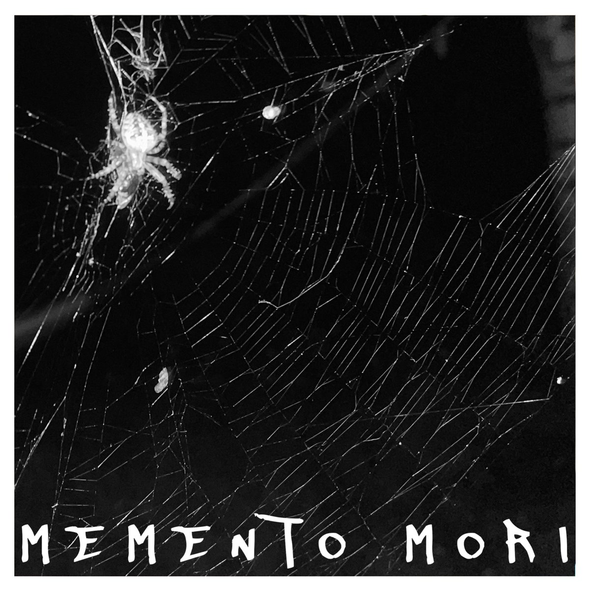 Arvid Strand tweet media