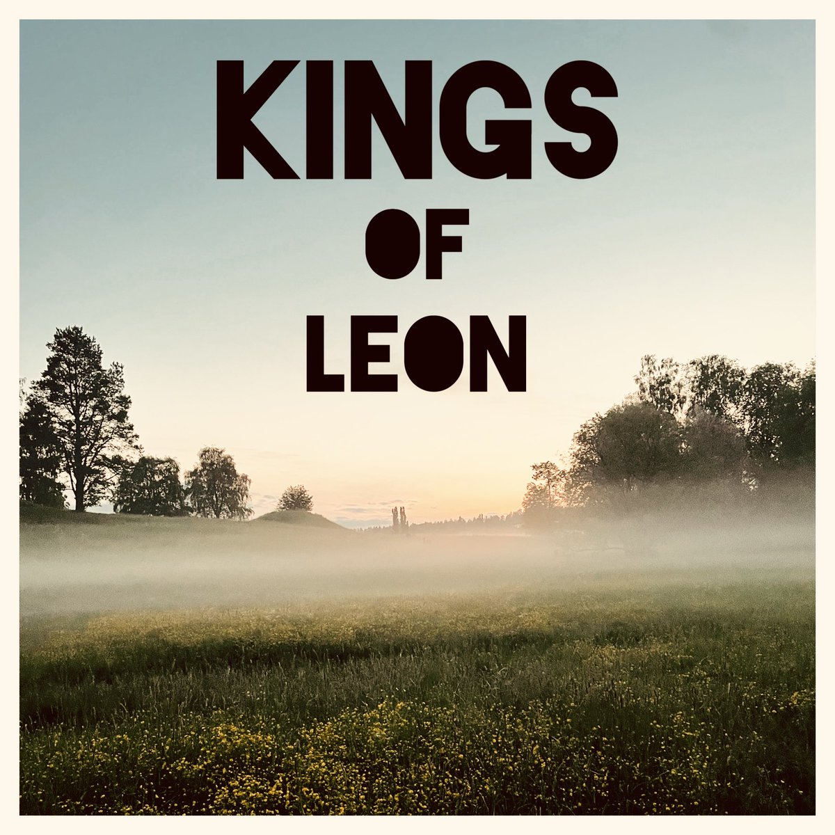 Arvid Strand tweet media