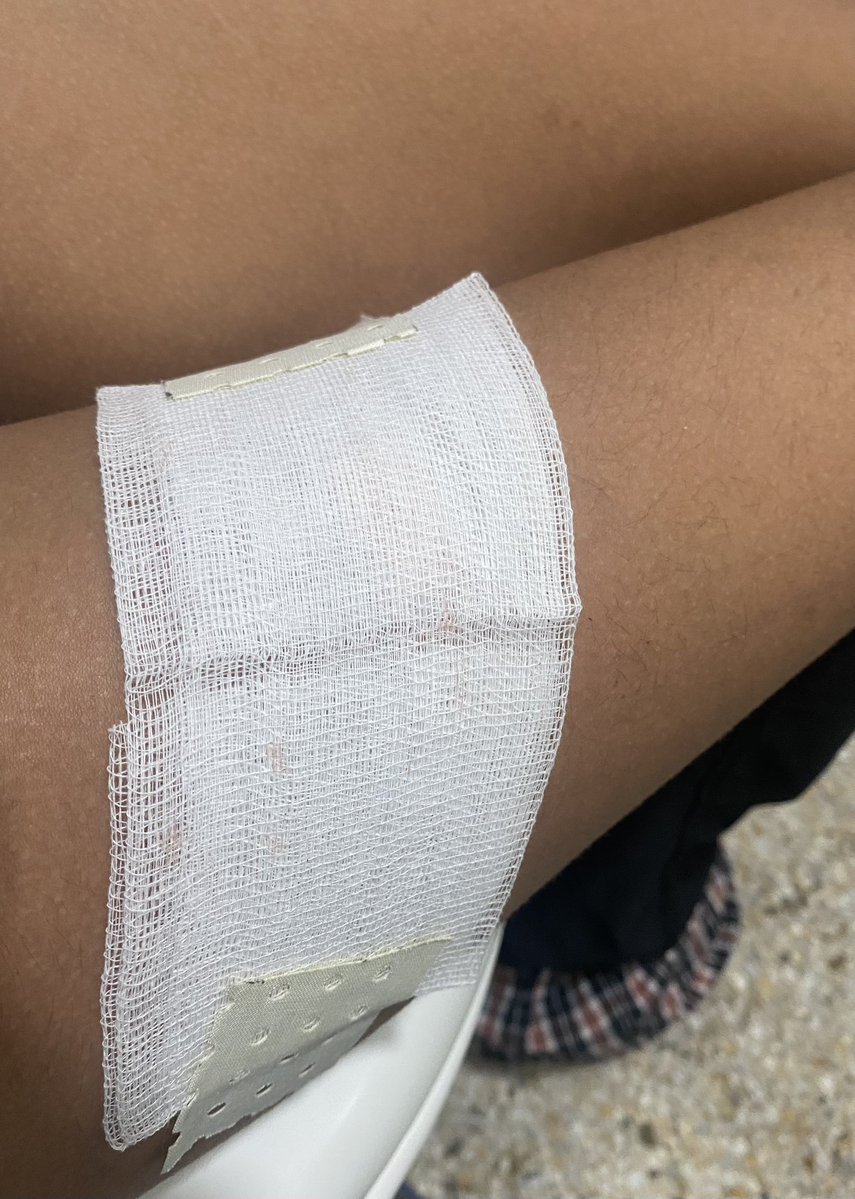 bkdk of shedtwt ‧˚꒰🐾୭ ˚. ᵎᵎ tweet media