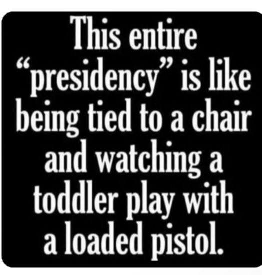 Suzie rizzio tweet media