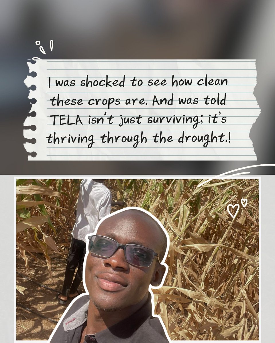 #LetsTalkGMO tweet media