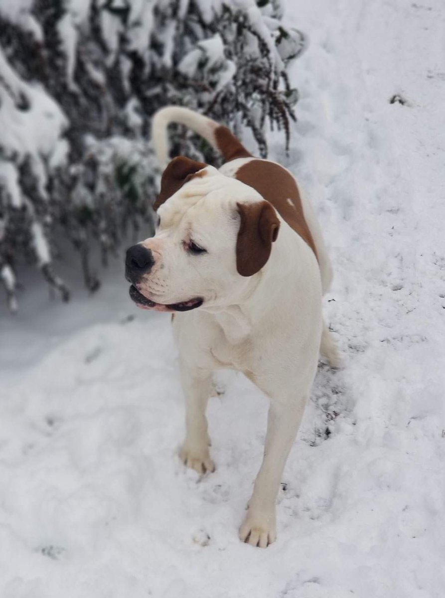 Ruthless World 🇺🇲 tweet media