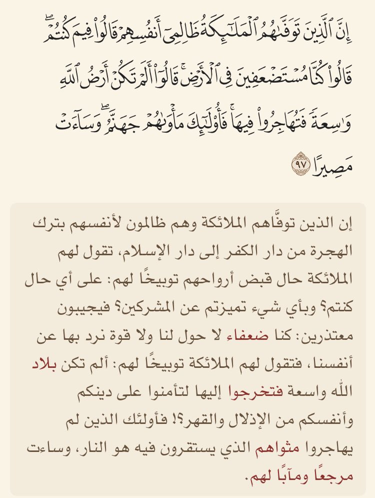 غسق-NIGHTFALL tweet media