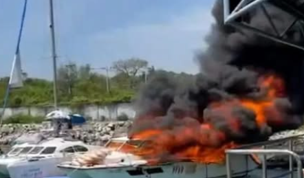 Mirror World News tweet media