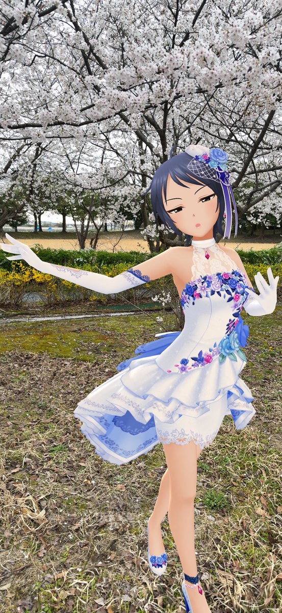 ただの中村☆☆★ tweet media