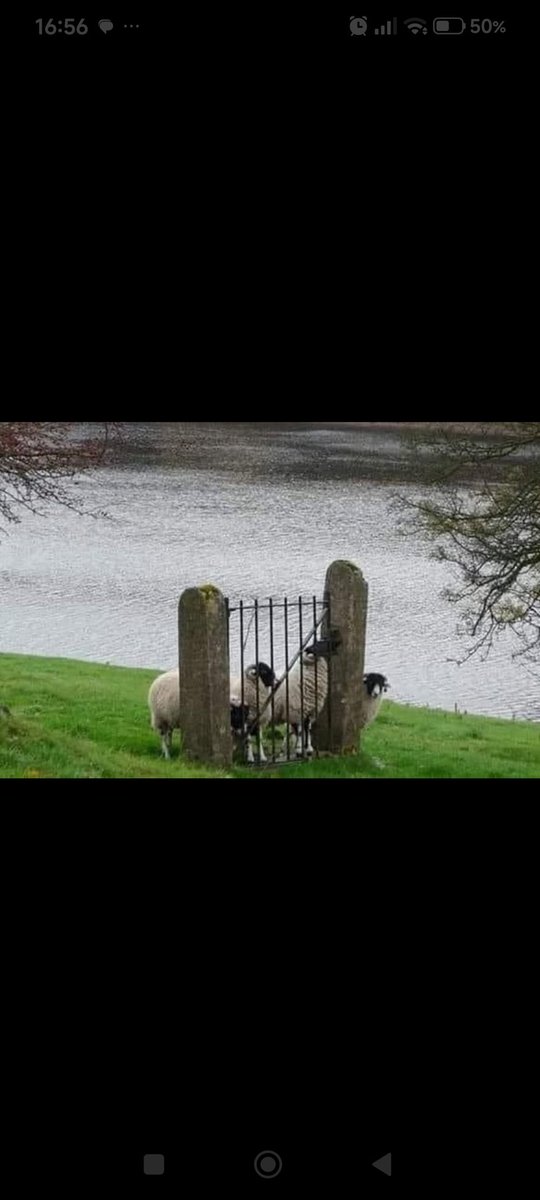 lébérou🇪🇸🇫🇷✝️ tweet media