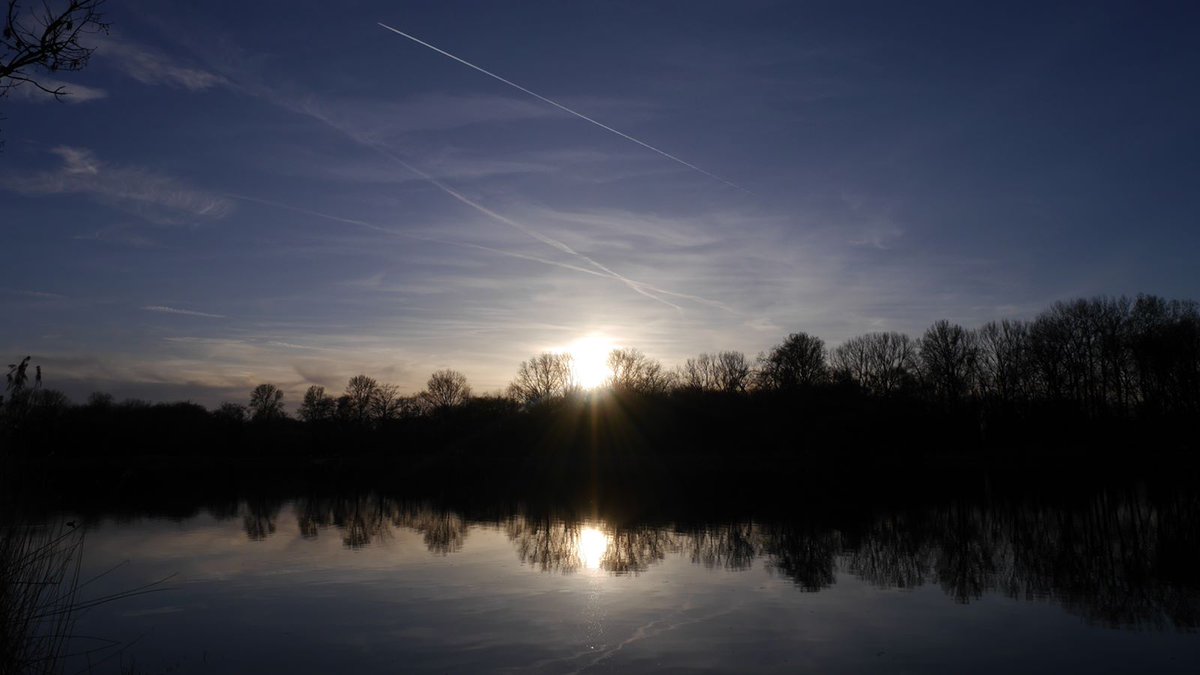 Don Alphonso tweet media