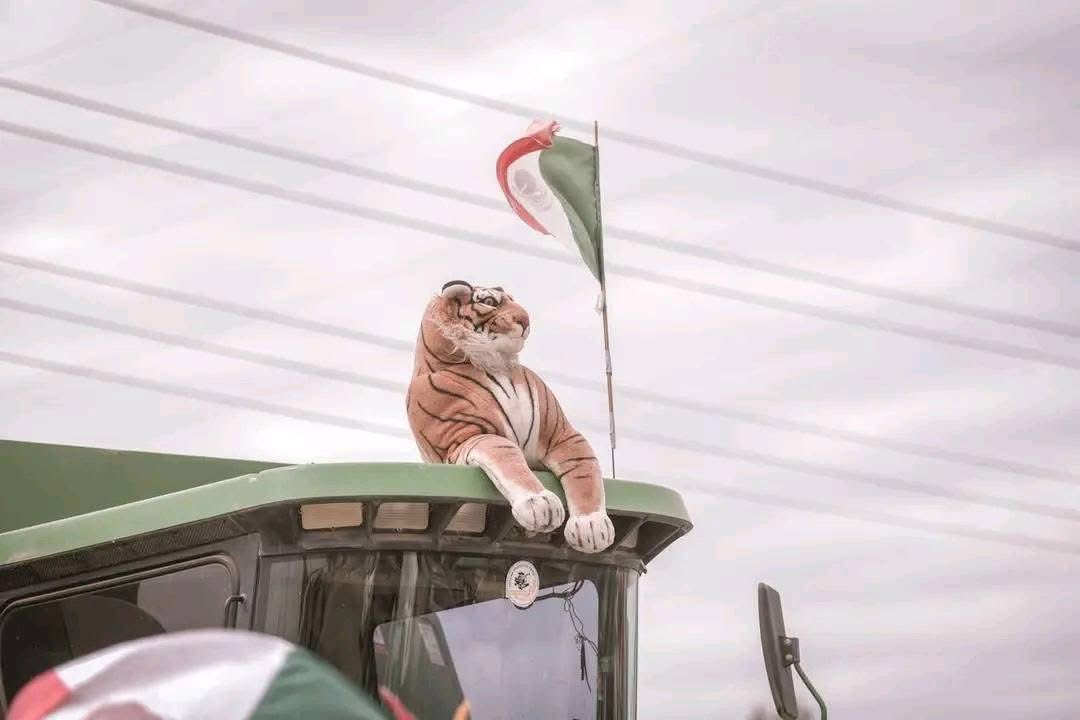 Alberto Sanchez tweet media