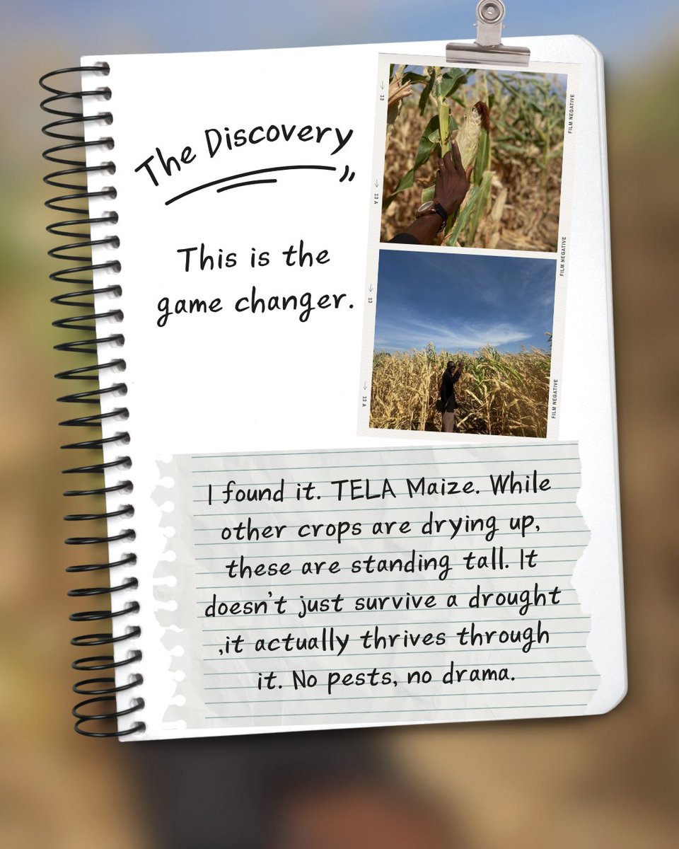 #LetsTalkGMO tweet media