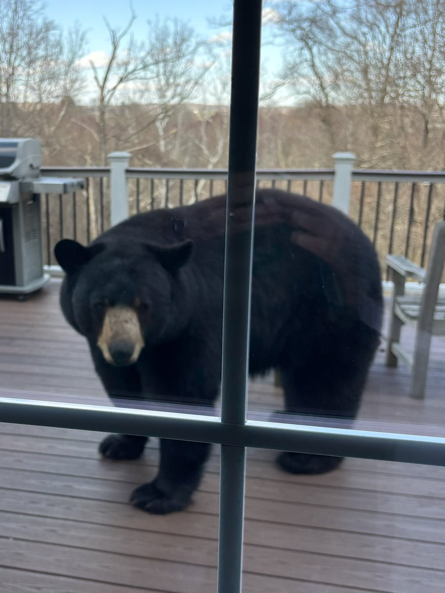 Chris S. Cornell tweet media