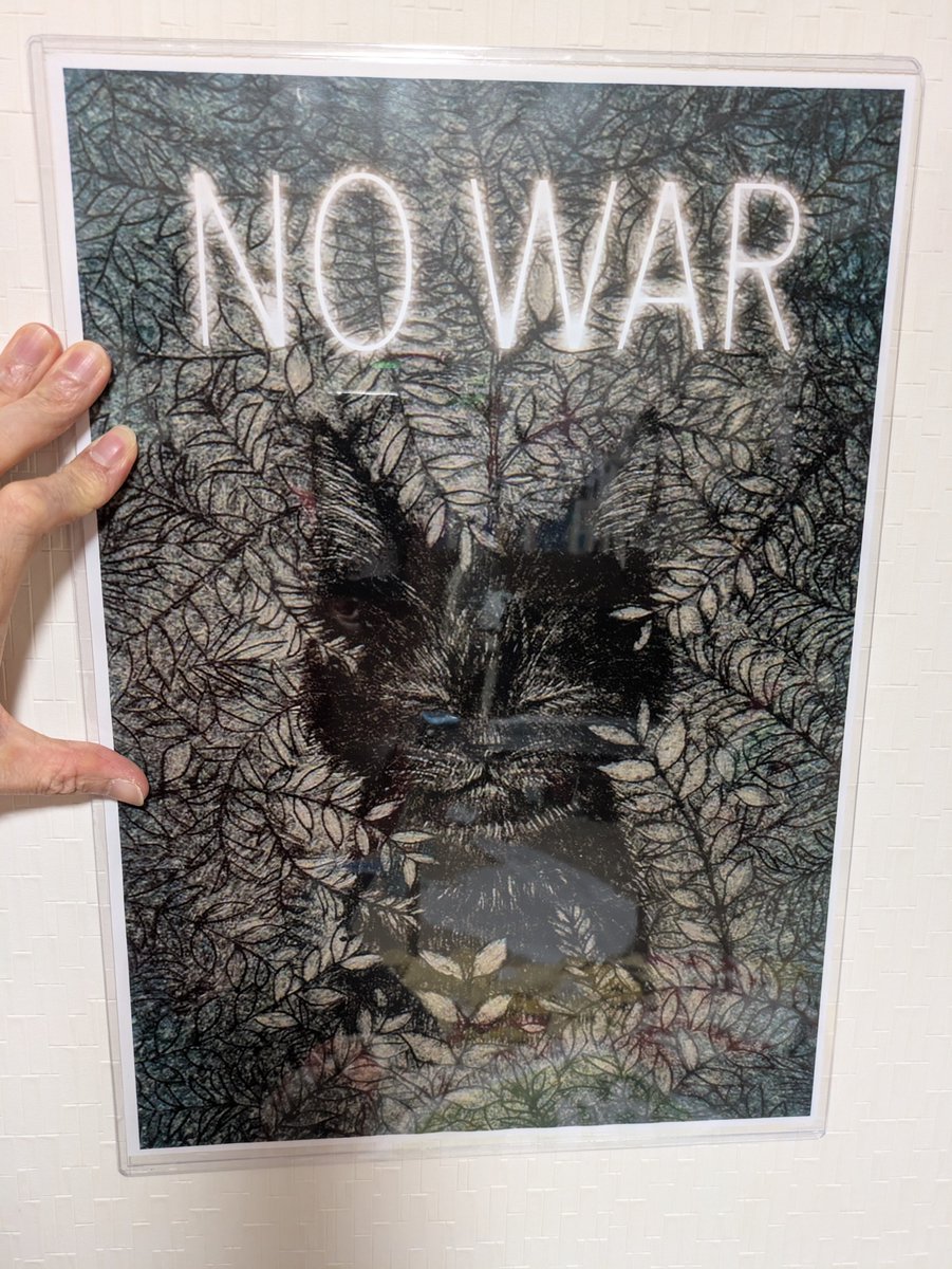 吉美駿一郎 tweet media