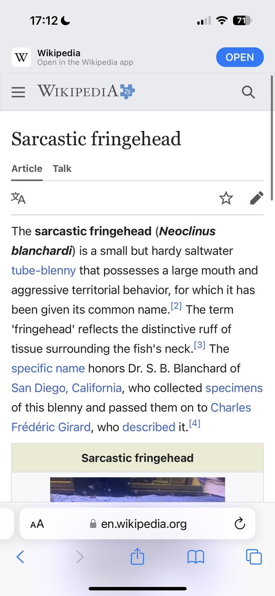 Sarah🐈📜🌸 tweet media