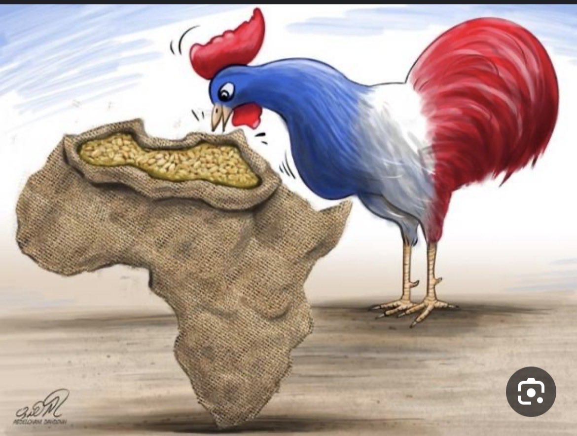 فيصل tweet media