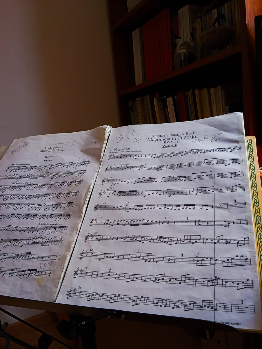 Fhernando A. Galindo / Tenor. tweet media