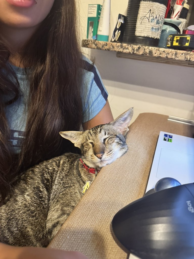 Soy Vete 🐶🐱 tweet media