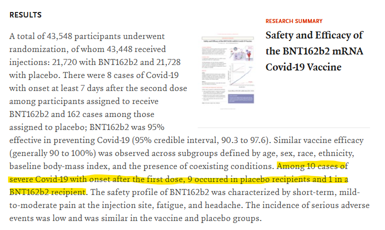 The Peppone Lab tweet media