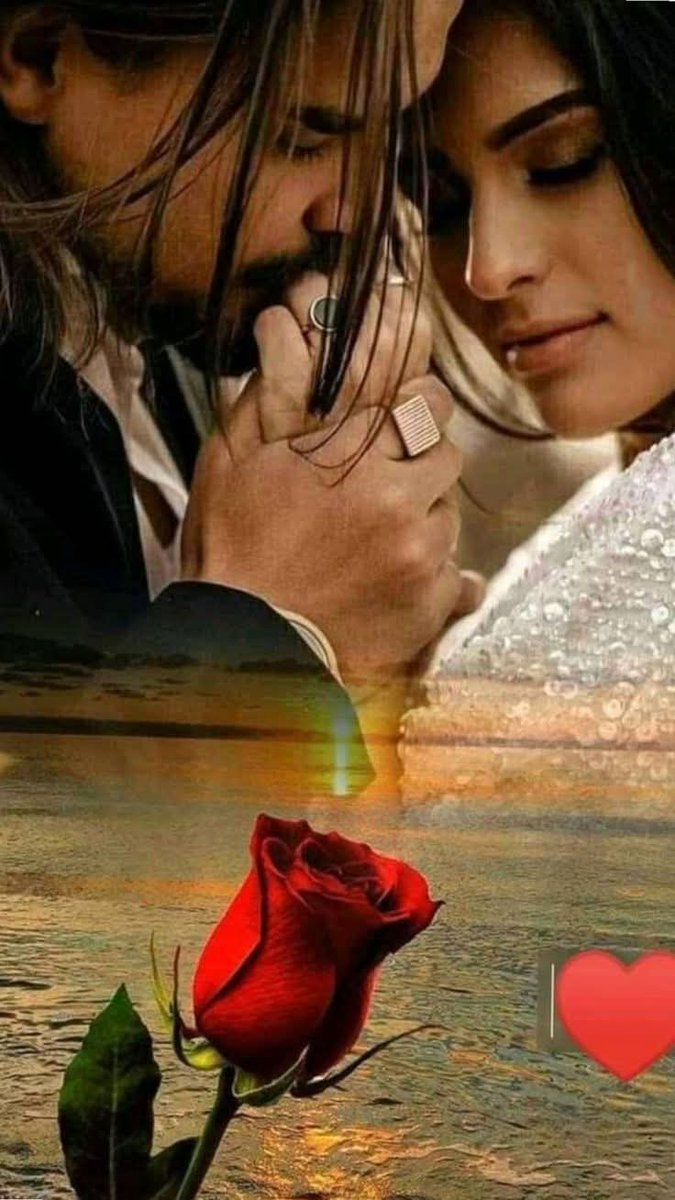 Dr. Fayrouz Abu al-Majd tweet media