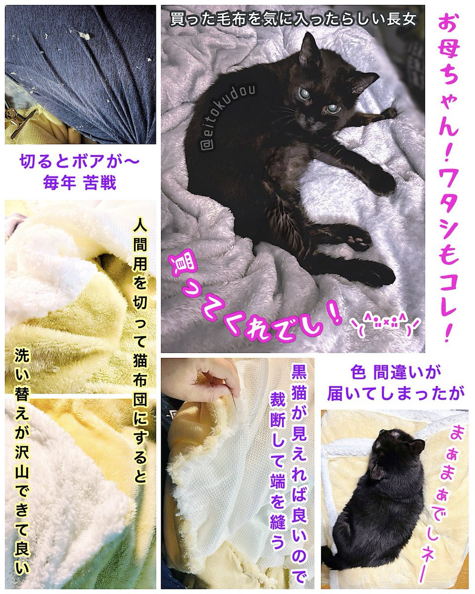 おいも 🍠 𖤣𖥧𖥣𖡡𖥧𖤣 ₍˄·͈༝·͈˄₎ tweet media